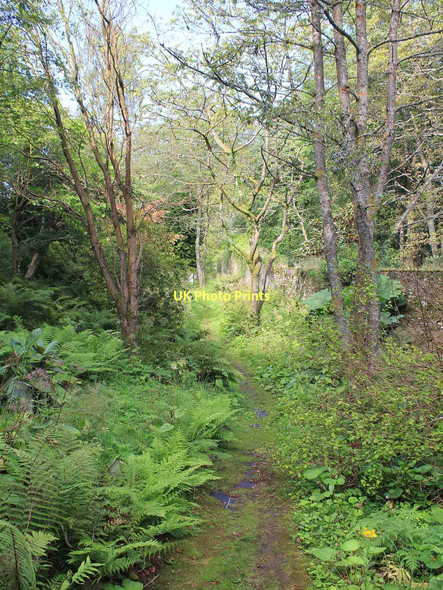 Photo 6"x4" Geilston Garden Cardross\/NS3477 c2011