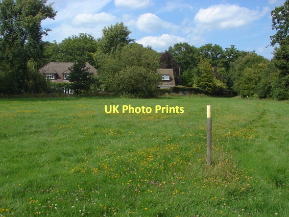 Photo 6"x4" Field, Normandy Normandy\/SU9251 c2011