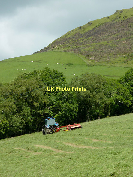 Photo 6"x4" Grass cutting and grazing near Ysbyty Cynfyn, Ceredigion Ystumtuen c2011