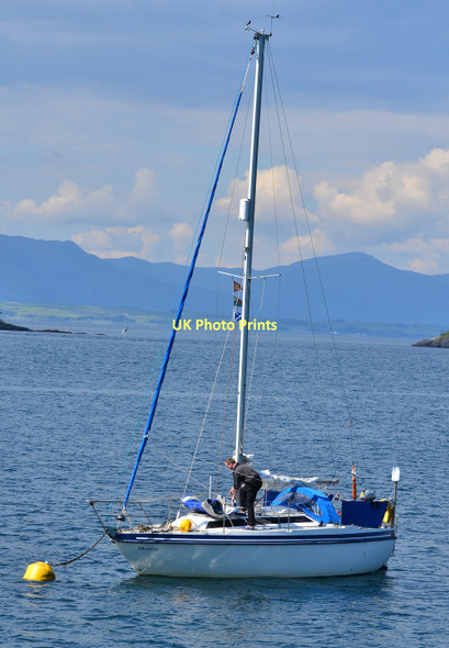 Photo 6"x4" Yacht in Oban Bay Oban\/NM8630 c2011