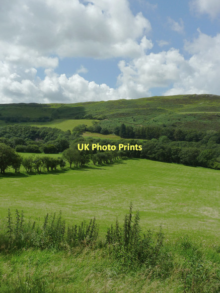 Photo 6"x4" Pasture and hillside near Ysbyty Cynfyn Ystumtuen c2011 P1