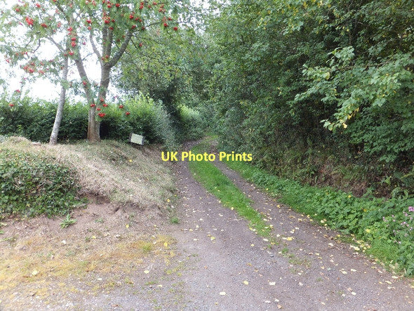Photo 6"x4" Blind Lane, Aylesbeare Aylesbeare c2011