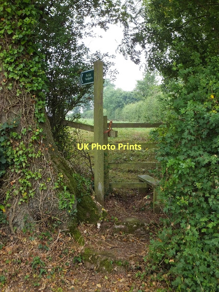 Photo 6"x4" Footpath stile near Rill Cottages Aylesbeare c2011