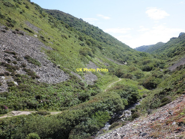 Photo 6"x4" Heddon Valley Martinhoe c2011