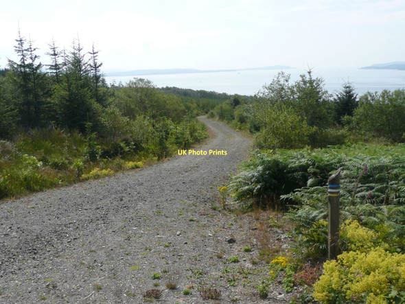 Photo 6"x4" Forest track on Achafour Hill Toward c2011 P1