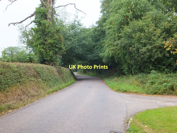 Photo 6"x4" Road passing Farringdon House Farringdon\/SY0191 c2011