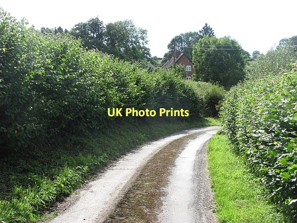Photo 6"x4" Road, Downton Bringewood Forge c2011
