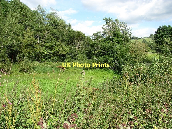 Photo 6"x4" Seasonal pond, Downton Burrington\/SO4472 c2011