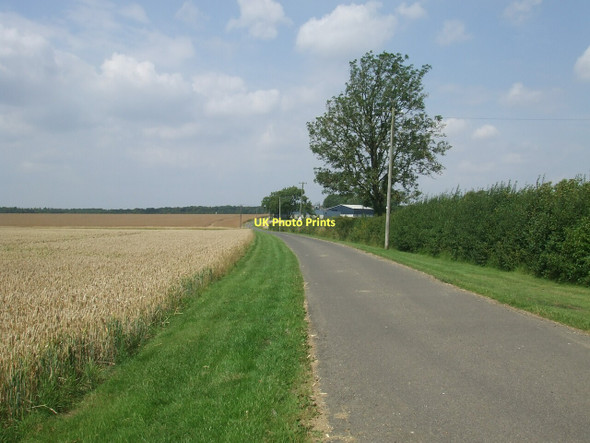 Photo 6"x4" Track to Greenfield Farm Minting c2011