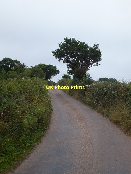 Photo 6"x4" Spain Lane, Farringdon Farringdon\/SY0191 c2011