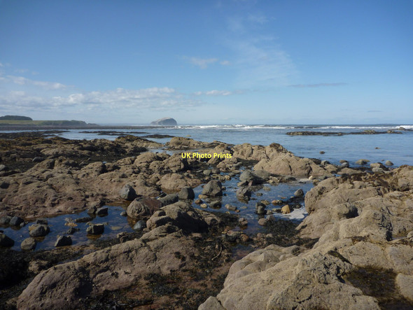 Photo 6"x4" Coastal East Lothian : The South End Of Scoughall Rocks Whitekirk c2011