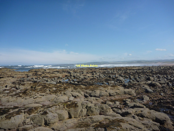 Photo 6"x4" Coastal East Lothian : The South End of Scoughall Rocks (Looking SE) Whitekirk c2011