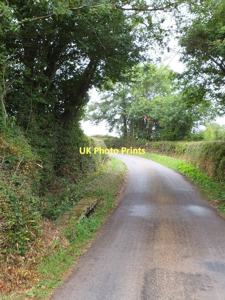 Photo 6"x4" Ford in Spain Lane Farringdon\/SY0191 c2011