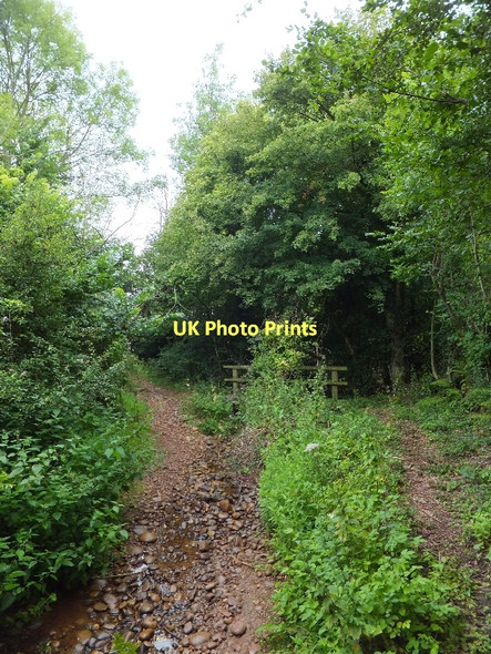 Photo 6"x4" Ford and bridge on Blind Lane Aylesbeare c2011