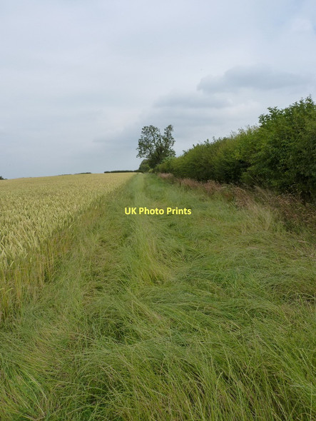 Photo 6"x4" Footpath from Plaish Park Enchmarsh c2011