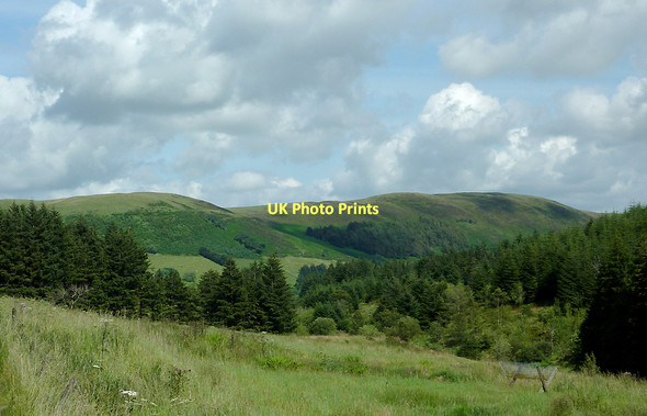 Photo 6"x4" Forest and  valley side east of Llangurig, Powys Pont Rhydgaled c2011
