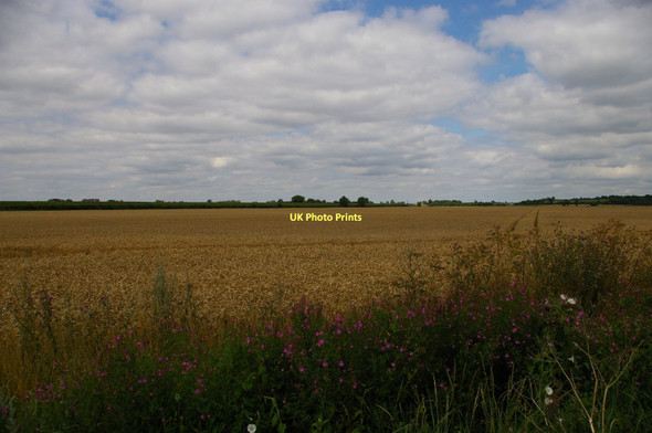 Photo 6"x4" View north-east from Chain Causeway Sutton Gault c2011