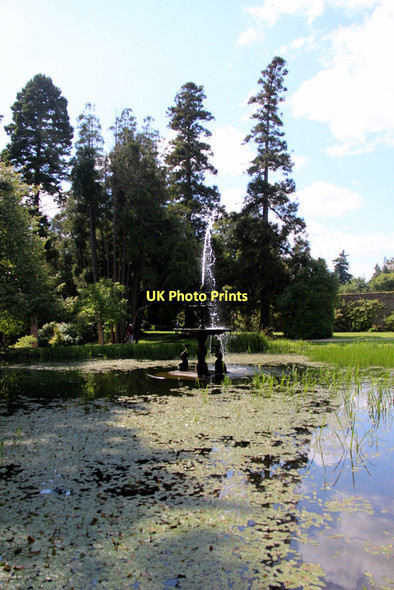 Photo 6"x4" Dolphin Pond, Powerscourt, County Wicklow, Ireland Enniskerry c2011