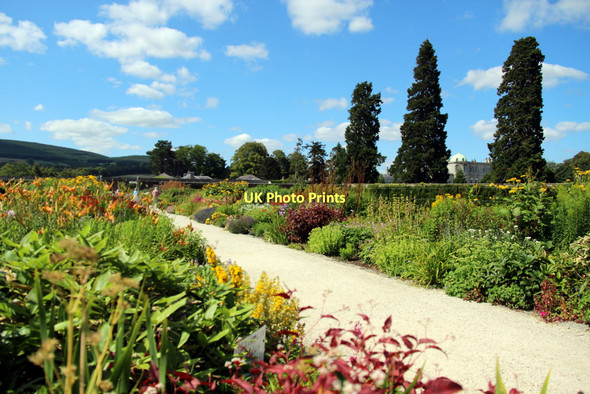 Photo 6"x4" Herbaceous Border, Powerscourt, County Wicklow, Ireland Enniskerry c2011 P1