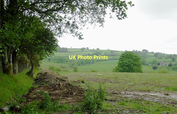 Photo 6"x4" Farmland east of Stags Head, Ceredigion Stags Head c2011