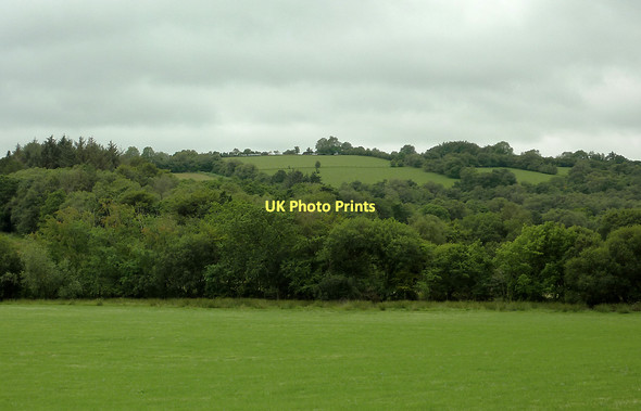 Photo 6"x4" Pasture and woodland south-west of Stags Head, Ceredigion Llanio c2011