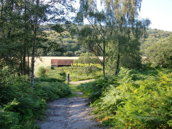 Photo 6"x4" View downhill towards Leasers Barn Wotton\/TQ1247 c2011