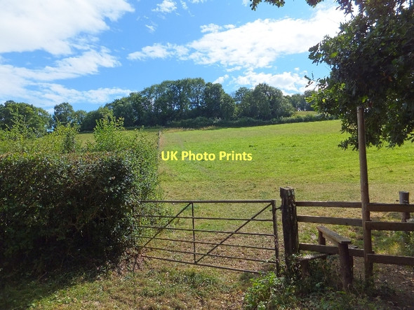 Photo 6"x4" Field and stile beside Fordland Bottom Road Ide c2011