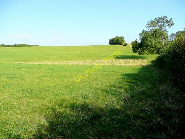 Photo 6"x4" Corse Wood Hill Snig's End c2009