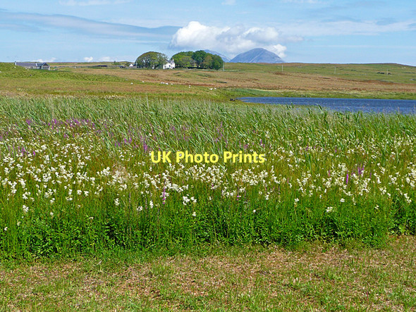 Photo 6"x4" North end of Eilean Mor Finlaggan Ballygrant c2011