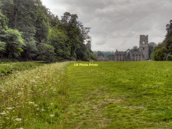 Photo 6"x4" Fountains Abbey, Abbey Green Aldfield c2011
