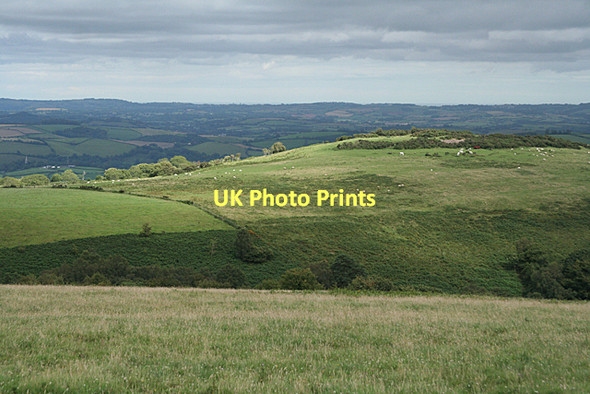 Photo 6"x4" West Buckfastleigh: Wallaford Down Upper Dean\/SX7264 c2011