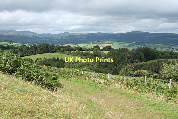 Photo 6"x4" West Buckfastleigh: on Lambs Down Michelcombe c2011