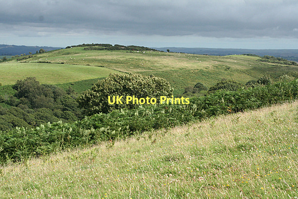 Photo 6"x4" West Buckfastleigh: towards Wallaford Down Combe\/SX7068 c2011