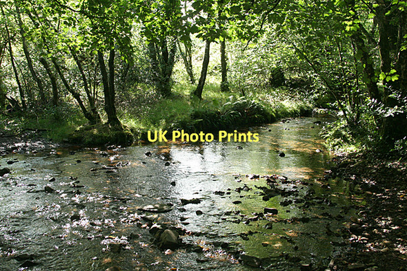 Photo 6"x4" West Buckfastleigh: Dean Burn Michelcombe c2011