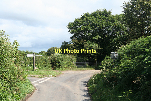 Photo 6"x4" West Buckfastleigh: Cross Furzes Michelcombe c2011