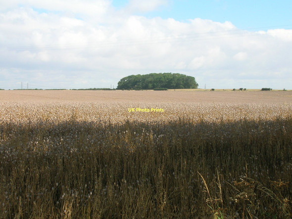 Photo 6"x4" Farmland, Wootton Grange Wootton\/TA0816 c2011