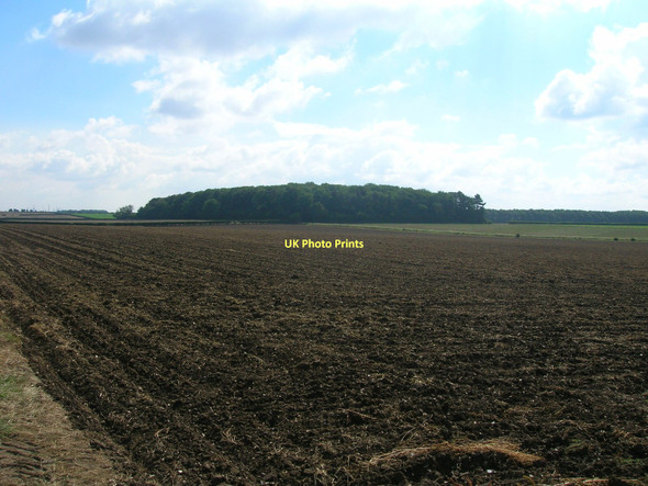 Photo 6"x4" Farmland towards Dunkirk Wood Wootton\/TA0816 c2011
