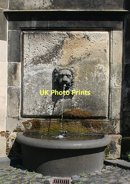 Photo 6"x4" Detail of Bruce Fountain Falkland c2011
