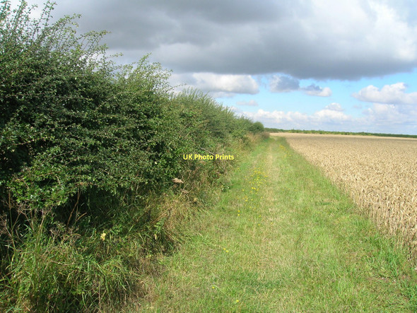 Photo 6"x4" Viking Way heading west, Elsham Wolds Elsham c2011