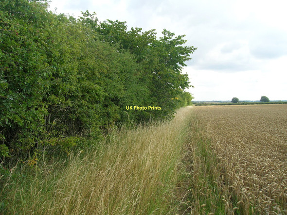 Photo 6"x4" Hedgerow and field Croxton\/TA0912 c2011