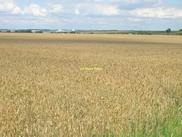Photo 6"x4" Farmland off Owmby Wold Lane Searby c2011