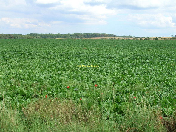 Photo 6"x4" Farmland south of Kirmington Kirmington c2011