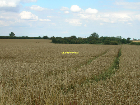 Photo 6"x4" Farmland near Thornton Curtis Thornton Curtis c2011