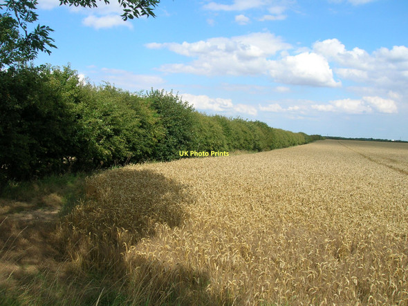 Photo 6"x4" Farmland off Thornton Road Barrow upon Humber c2011