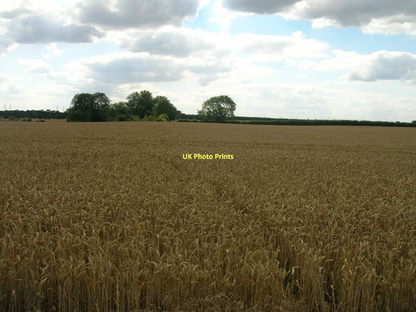 Photo 6"x4" Farmland off the A1077 Barrow upon Humber c2011