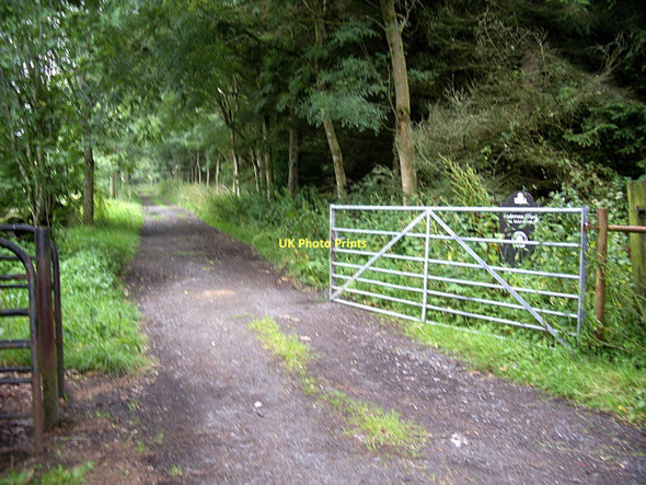 Photo 6"x4" Track into Anderson Wood, Hazlehead Craigiebuckler c2011