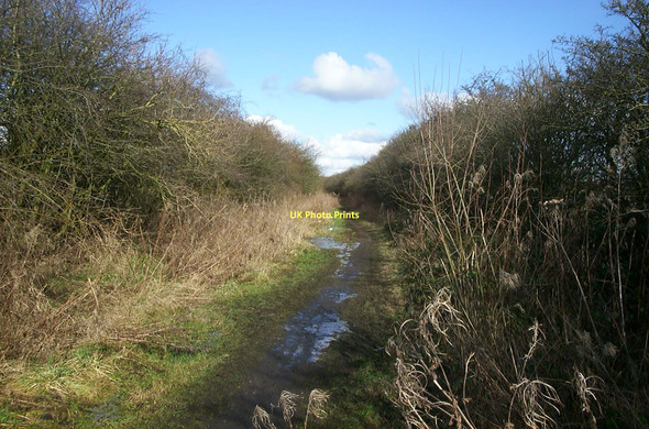 Photo 6"x4" Disused Railway Cornforth c2006