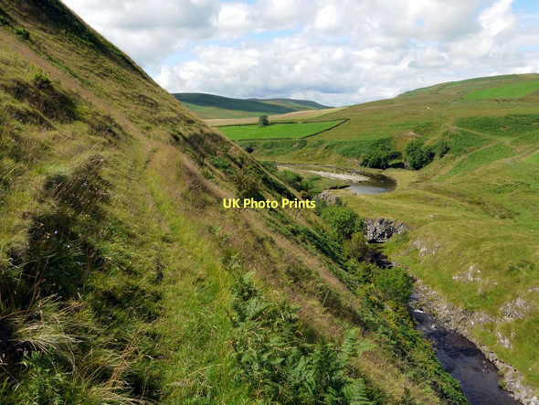 Photo 6"x4" Footpath above the River Coquet Linbriggs c2011