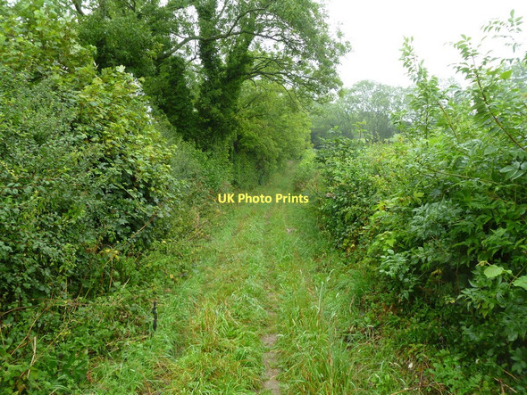 Photo 6"x4" Hilton, bridleway Hilton\/ST7803 c2011