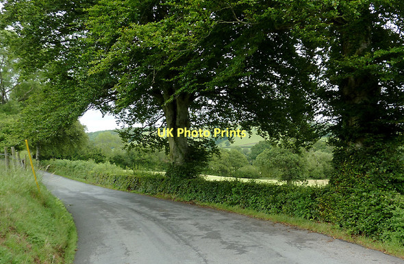 Photo 6"x4" B4342 to Llangeitho, Ceredigion Capel Betws Lleucu c2011